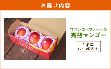 【 2026年 先行予約 】竹マンゴーファームの 完熟 マンゴー 1キロ(2~3個入り) C039-004 完熟マンゴー フルーツ 果物 果実 予約 限定 受付 事前予約 甘い 美味しい おいしい ジューシー とろける甘み とろける 濃厚 極上 マンゴージュース 贈答用 鹿児島 沖永良部 竹マンゴーファーム ふるさと納税 知名町 おすすめ ランキング プレゼント ギフト