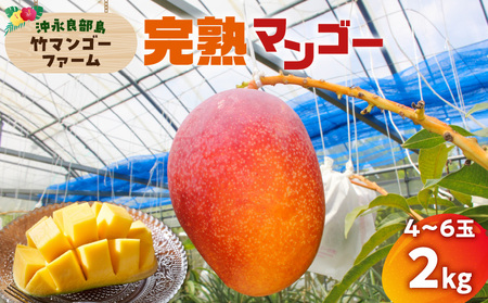 【 2026年 先行予約 】竹マンゴーファームの 完熟 マンゴー 2キロ(4~6個入り) C039-006 完熟マンゴー 果物 フルーツ 南国 先行受付 甘い 常夏 大きいマンゴー 無加温 デザート スイーツ 沖永良部 竹マンゴーファーム ふるさと納税 知名町 おすすめ ランキング プレゼント ギフト