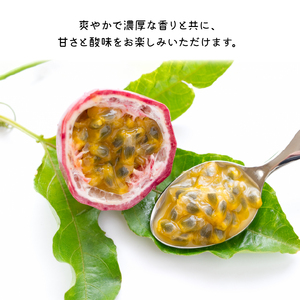 【 2026年 先行予約 】 えみちゃん農園 大玉 パッションフルーツ （ 12個 入り ） C008-004 パッション フルーツ 果物 限定 先行受付 先行 数量限定 爽やか 甘い 酸味 アイスクリーム ヨーグルト 美味しい 沖永良部 トロピカル 大きい 12玉 贈答用 贈答 ふるさと納税 知名町 おすすめ ランキング プレゼント ギフト