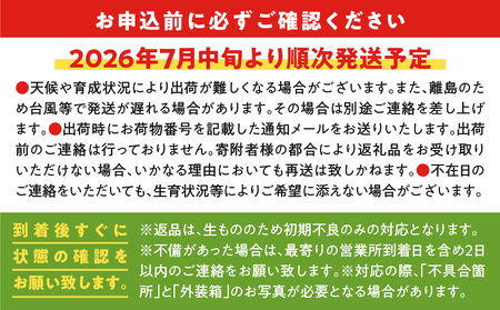 【 2026年 先行予約 】 えみちゃん農園 の 完熟 マンゴー 約2キロ （ 訳あり ） C008-007-02 果物 フルーツ