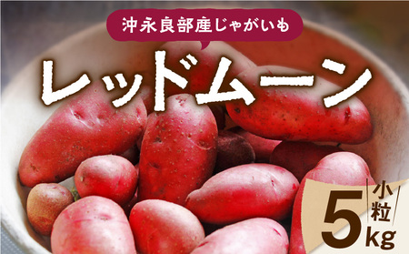 【 2025年 先行予約 】沖永良部産 じゃがいも『 レッドムーン 』小粒サイズ 5kg　C065-002-01 野菜 限定 期間限定 先行受付 事前予約 予約 事前受付 希少 肉じゃが カレー ポテト 甘い よるとも（盛山マンゴー園） ふるさと納税 鹿児島 知名町 おすすめ ランキング プレゼント ギフト