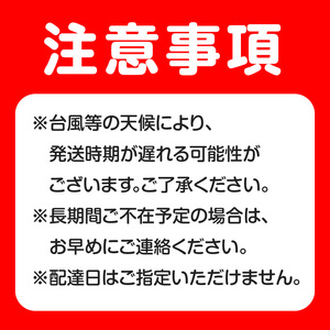 【 2025年 先行予約 】沖永良部産 じゃがいも『 レッドムーン 』小粒サイズ 5kg　C065-002-01 野菜 限定 期間限定 先行受付 事前予約 予約 事前受付 希少 肉じゃが カレー ポテト 甘い よるとも（盛山マンゴー園） ふるさと納税 鹿児島 知名町 おすすめ ランキング プレゼント ギフト