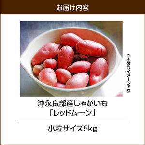 【 2025年 先行予約 】沖永良部産 じゃがいも『 レッドムーン 』小粒サイズ 5kg　C065-002-01 野菜 限定 期間限定 先行受付 事前予約 予約 事前受付 希少 肉じゃが カレー ポテト 甘い よるとも（盛山マンゴー園） ふるさと納税 鹿児島 知名町 おすすめ ランキング プレゼント ギフト