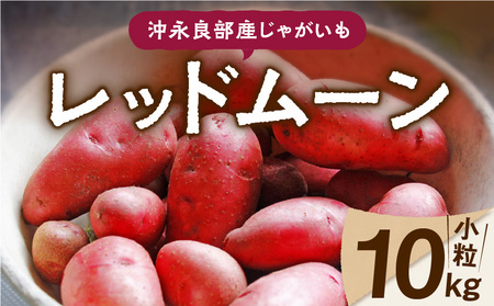 【 2025年 先行予約 】沖永良部産 じゃがいも『 レッドムーン 』小粒サイズ 10kg　C065-002-02 野菜 限定 期間限定 先行受付 事前予約 予約 事前受付 希少 肉じゃが カレー ポテト 甘い よるとも（盛山マンゴー園） ふるさと納税 鹿児島 知名町 おすすめ ランキング プレゼント ギフト