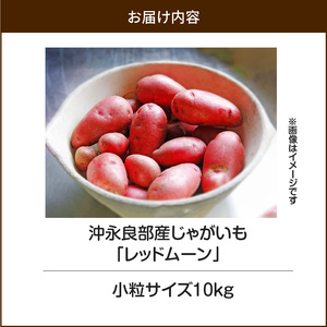 【 2025年 先行予約 】沖永良部産 じゃがいも『 レッドムーン 』小粒サイズ 10kg　C065-002-02 野菜 限定 期間限定 先行受付 事前予約 予約 事前受付 希少 肉じゃが カレー ポテト 甘い よるとも（盛山マンゴー園） ふるさと納税 鹿児島 知名町 おすすめ ランキング プレゼント ギフト