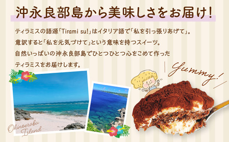 九州産なめらかクリィーミー ティラミスセット C035-016 ティラミス 冷凍 個包装 チーズ マスカルポーネ 北海道純生クリーム 生クリーム クリームチーズ エスプレッソ コーヒー 太陽卵 卵 半解凍 解凍 アイスクリーム 贅沢 苦味 リッチ なめらか 食べやすい カップ お菓子 菓子 甘味品 スイーツ ケーキ 洋菓子 島のケーキ屋さん ふるさと納税 鹿児島 知名町 沖永良部 おすすめ ランキング プレゼント ギフト