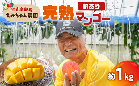 【 2026年 先行予約 】 えみちゃん農園 の 完熟 マンゴー 約1キロ （ 訳あり ） C008-007-01 果物 フルーツ