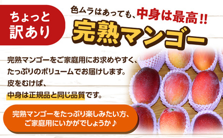 【 2026年 先行予約 】 えみちゃん農園 の 完熟 マンゴー 約1キロ （ 訳あり ） C008-007-01 果物 フルーツ