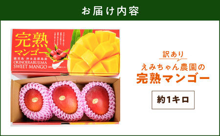 【 2026年 先行予約 】 えみちゃん農園 の 完熟 マンゴー 約1キロ （ 訳あり ） C008-007-01 果物 フルーツ