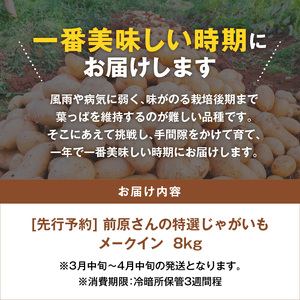 【 2025年 先行予約 】前原さんの 特選じゃがいも メークイン8kg C062-002 野菜 じゃがいも ジャガイモ ポテト やさい 根菜 根菜類 野菜類 メークイン フライドポテト ポテトチップス 芋 先行受付 先行 予約 限定 煮込み料理 揚げ物 美味しい おいしい ホクホク 極上 新じゃが 手堀り 鹿児島県 鹿児島 沖永良部島 沖永良部 スナップ牧場 ふるさと納税 知名町 おすすめ プレゼント ランキング ギフト