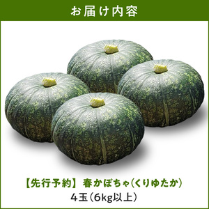 【 2025年 先行予約 】春かぼちゃ （ くりゆたか ）4玉（6kg以上） C062-003-02 野菜 やさい かぼちゃ カボチャ 南瓜 栗かぼちゃ 栗カボチャ 栗南瓜 レア 貴重 先行受付 先行 予約 限定 旬 レア品種 人気 お菓子作り 甘い あまい 美味しい おいしい かぼちゃケーキ パンプキン パンプキンケーキ ポタージュ かぼちゃポタージュ かぼちゃスープ スープ 鹿児島県 鹿児島 沖永良部島 沖永良部 スナップ牧場 ふるさと納税 知名町 おすすめ ランキング プレゼント ギフト