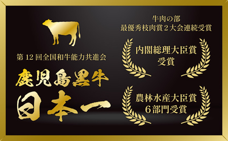 鹿児島黒牛 サーロイン ステーキ 計600g（ A-101 ） C069-002 鹿児島牛 黒牛 サーロインステーキ 牛肉 肉 にく 5等級 鹿児島県産 霜降り肉 霜降り コク 旨味 夕食 おかず ご飯 冷凍 美味しい 鹿児島県経済農業協同組合連合会 ふるさと納税 知名町 おすすめ ランキング プレゼント ギフト