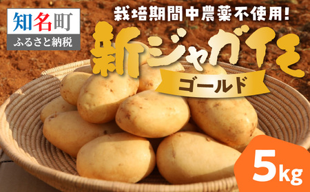 【 2026年 先行予約 】 農薬不使用 ！ 新ジャガイモ ゴールド 5kg 4月お届け C058-001 野菜 じゃがいも 芋