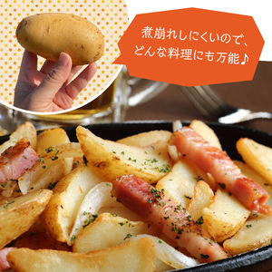 【 2026年 先行予約 】 農薬不使用 ！ 新ジャガイモ ゴールド 5kg 4月お届け C058-001 野菜 じゃがいも 芋