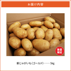 【 2026年 先行予約 】 農薬不使用 ！ 新ジャガイモ ゴールド 5kg 4月お届け C058-001 野菜 じゃがいも 芋