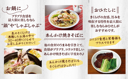 南国きくらげ 生セット C070-001 きくらげ キクラゲ 有機成分 ミネラル 歯ごたえ 肉厚 バガス 野菜 やさい 沖永良部産 沖永良部 生きくらげ 生キクラゲ 料理 中華炒め 中華スープ 美味しい おいしい 南国きのこ苑 ふるさと納税 知名町 おすすめ ランキング プレゼント ギフト