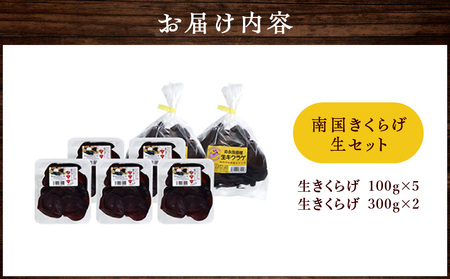 南国きくらげ 生セット C070-001 きくらげ キクラゲ 有機成分 ミネラル 歯ごたえ 肉厚 バガス 野菜 やさい 沖永良部産 沖永良部 生きくらげ 生キクラゲ 料理 中華炒め 中華スープ 美味しい おいしい 南国きのこ苑 ふるさと納税 知名町 おすすめ ランキング プレゼント ギフト