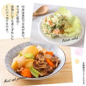 【 2026年3月お届け 】 人気 の 赤い ジャガイモ てれやさん 乳酸菌 育ち！！ C036-001-03 野菜 じゃがいも 芋