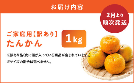 【 2026年 先行予約 】＜ ご家庭用 ＞ 訳あり たんかん 1kg （ 2026年 2月 より 順次発送 ） C071-001-01 わけあり 希少 フルーツ 果物 柑橘 かんきつ 柑橘類 ジューシー 果肉 やわらかい 芳醇 果汁 甘い 酸味 さっぱり 果実 南国 果実ジュース ジャム 限定 限定品 数量限定 健康学農園 ふるさと納税 鹿児島 おすすめ ランキング プレゼント ギフト