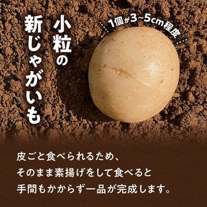 【 2026年 先行予約 受付中 】 新 じゃがいも ニシユタカ 小粒 2kg ＜ 3月お届け ＞ C056-007 ジャガイモ 野菜 やさい 根菜 期間限定 先行受付 先行 予約 小粒 皮ごと 美味しい 新鮮 穐田農園 ふるさと納税 鹿児島 知名町 おすすめ ランキング プレゼント