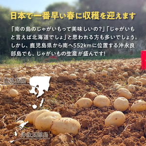 【 2026年 先行予約 受付中 】 新 じゃがいも ニシユタカ 小粒 2kg ＜ 3月お届け ＞ C056-007 ジャガイモ 野菜 やさい 根菜 期間限定 先行受付 先行 予約 小粒 皮ごと 美味しい 新鮮 穐田農園 ふるさと納税 鹿児島 知名町 おすすめ ランキング プレゼント