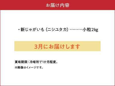 【 2026年 先行予約 受付中 】 新 じゃがいも ニシユタカ 小粒 2kg ＜ 3月お届け ＞ C056-007 ジャガイモ 野菜 やさい 根菜 期間限定 先行受付 先行 予約 小粒 皮ごと 美味しい 新鮮 穐田農園 ふるさと納税 鹿児島 知名町 おすすめ ランキング プレゼント