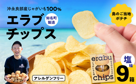 erabu chips （ 塩 ） 9箱 セット C068-001-09 ポテトチップス 菓子 お菓子 アレルゲンフリー