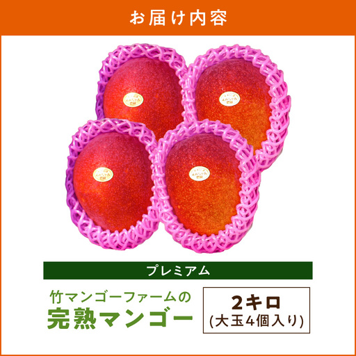 2026年 先行予約 】 竹マンゴーファーム の プレミアム 完熟 マンゴー