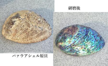 パァウアシェルを素材にした「シルバーバングル」貝工房かざはな【UC-3】