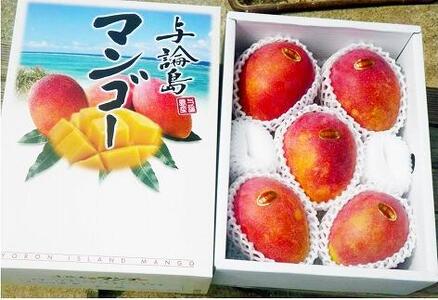 【2026年7月下旬より発送】【先行予約】平均糖度13度以上！アップルマンゴー約2kg（4~5玉）| マンゴー 果物 マンゴー フルーツ アップルマンゴー 人気 2kg マンゴー おすすめ 