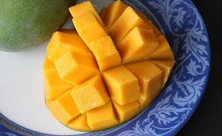 【2026年8月中旬より発送】【先行予約】1玉で1kg前後!糖度14度!『紅』キーツマンゴー約2kg(2玉) | マンゴー 果物 マンゴー フルーツ キーツマンゴー 人気 2kg マンゴー おすすめ