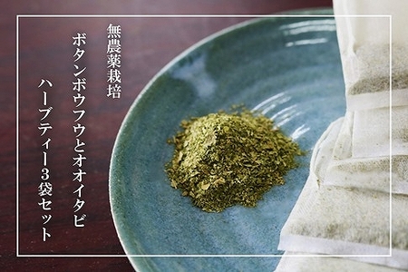 【180杯分！】無農薬ボタンボウフウと大崖石榴茶 （長命草とオオイタビハーブティー） 3袋セット