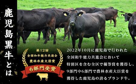 鹿児島黒牛サーロインステーキセット【K-105】（200ｇ）×2