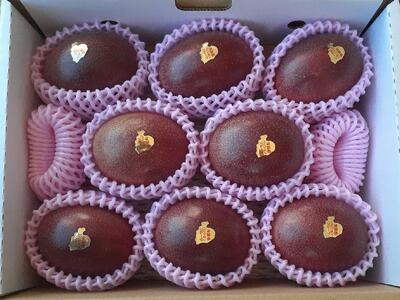 与論島産パッションフルーツ　奄美のジャンボウ8玉～12玉（約2kg前後）【先行予約：2025年6月中旬以降発送】｜パッションフルーツ おすすめ 2kg パッションフルーツ 人気 与論島