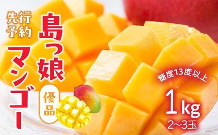 与論島産　島っ娘マンゴー（優品）1kg　2～3玉　糖度13度以上【先行予約：2025年7月上旬以降発送】| マンゴー 与論 マンゴー 人気 1kg マンゴー 与論島 マンゴー