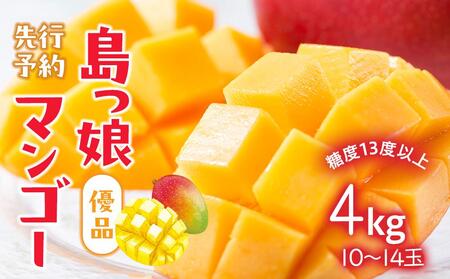 与論島産 島っ娘マンゴー(優品)4kg 10~14個 糖度13度以上【先行予約:2025年7月上旬以降発送】| マンゴー 与論 マンゴー 人気 4kg マンゴー 与論島 マンゴー