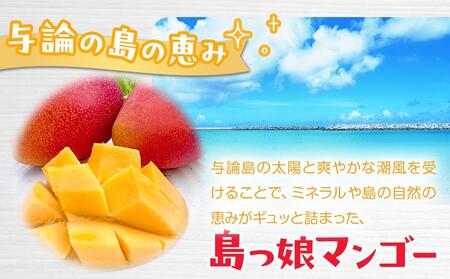 与論島産　島っ娘マンゴー（秀品）1kg　2～3玉　糖度13度以上【先行予約：2025年7月上旬以降発送】| マンゴー 与論 マンゴー 人気 1kg マンゴー 与論島 マンゴー