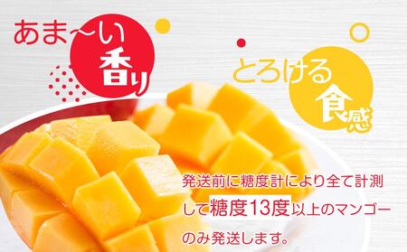 与論島産 島っ娘マンゴー(秀品)4kg 10~14玉入り 糖度13度以上 与論島産 島っ娘マンゴー(秀品)4kg 10~14玉入り 糖度13度以上