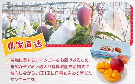 与論島産 島っ娘マンゴー（秀品）4kg 10～14玉入り 糖度13度以上