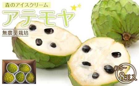 【先行予約】※数量限定　無農薬栽培　森のアイスクリーム　アテモヤ2kg～2.4kg（凡そ5玉～8玉）