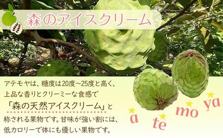 【先行予約】※数量限定　無農薬栽培　森のアイスクリーム　アテモヤ2kg～2.4kg（凡そ5玉～8玉）