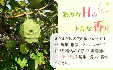 【先行予約】※数量限定　無農薬栽培　森のアイスクリーム　アテモヤ2kg～2.4kg（凡そ5玉～8玉）