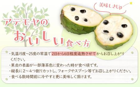 【先行予約】※数量限定　無農薬栽培　森のアイスクリーム　アテモヤ2kg～2.4kg（凡そ5玉～8玉）