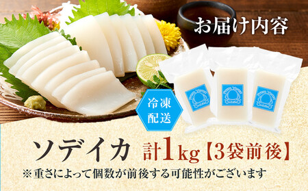ヨロン島特産☆あま~いソデイカ 1kgセット