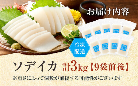 ヨロン島特産☆あま~いソデイカ 3kgセット