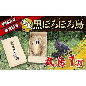 ★期間限定・数量限定★奄美 黒ほろほろ鳥 （丸鳥中抜き）