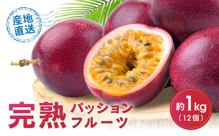 【2026年夏発送】パッションフルーツ (1kg12個入り化粧箱入) 2026年6月～出荷開始 | パッションフルーツ