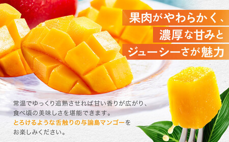 「2026夏発送」★厳選★ 完熟 与論島マンゴー ２kg（5～6個）【数量限定】【産地直送】【先行予約】