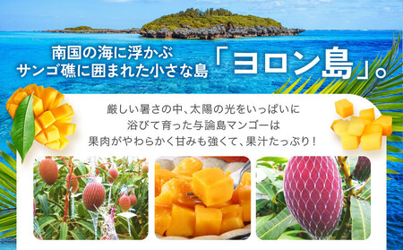 「2026夏発送」★厳選★ 完熟 与論島マンゴー ２kg（5～6個）【数量限定】【産地直送】【先行予約】