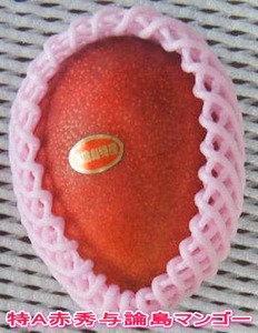 マンゴー 【数量限定】鹿児島 与論島 アップルマンゴー 特A秀品 大玉 ４個 約2kg 化粧箱入り 【2026年発送 先行予約】| マンゴー 与論産 マンゴー 甘い マンゴー 濃厚な味 マンゴー 与論島 マンゴー